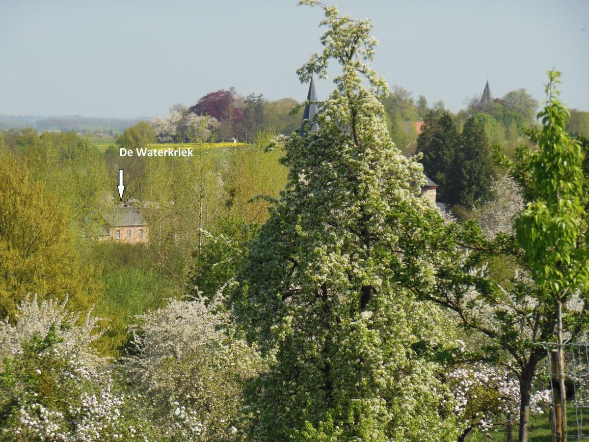 Villa De Waterkriek Borgloon Esterno foto